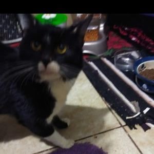 Meet your Posher, Nikki's